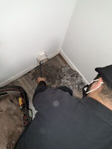 Read more about the article Cleaning dryer vents in an environmentally friendly manner is not only good for the planet but also for your wallet, as it can improve the efficiency of your dryer and reduce energy consumption.